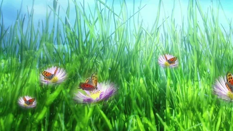 Butterflies On Springtime Meadow Stock Footage 102716441