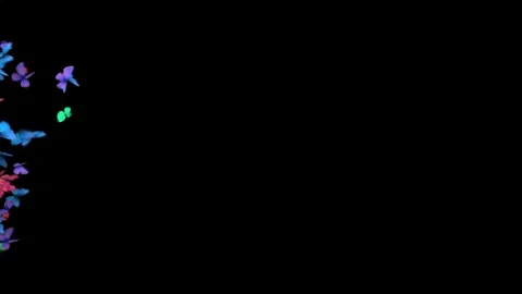 Butterflies Transition Background Stock Footage 100532127