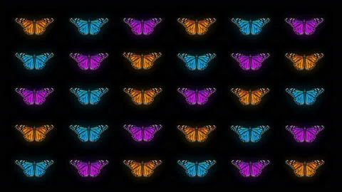 Butterflies Tri Color insects pattern 4K Video Art VJ Loop Stock Footage 124927062