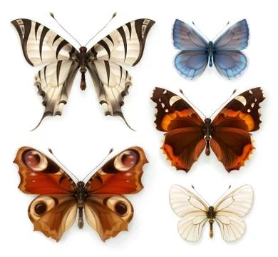 Butterflies, vector icons set Stock Illustration