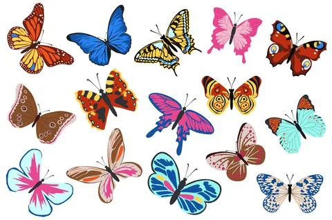 Butterflies Vector Set Stock Illustration