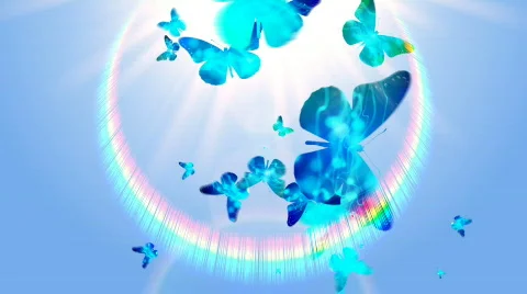 BUTTERFLY 1 Stock Footage 683079
