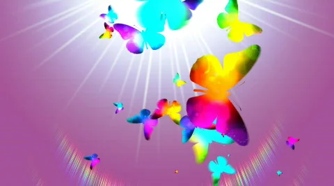 BUTTERFLY 1 Stock Footage 683090