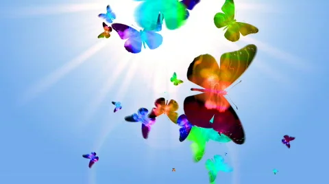 BUTTERFLY 1 Stock Footage 683107