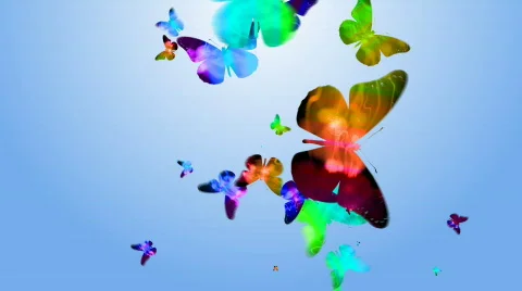 BUTTERFLY 1 Stock Footage 683122
