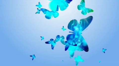 BUTTERFLY 1 Stock Footage 683126