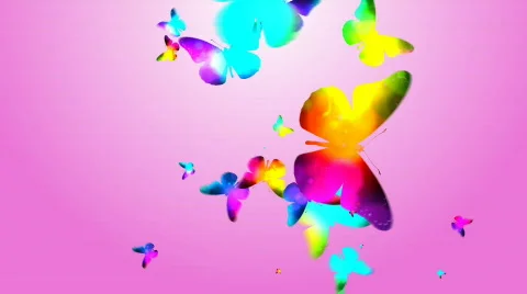 BUTTERFLY 1 Stock Footage 683138