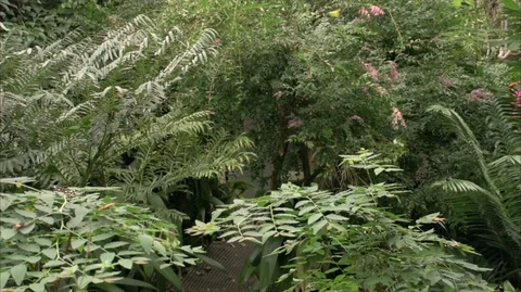 Butterfly 4K 動画素材 112293853