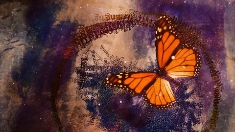 Butterfly on abstract background Vídeos de archivo 124744144
