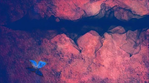 Butterfly abstract background Vídeos de archivo 127257004