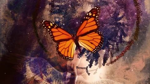 Butterfly on abstract background Vídeos de archivo 220786986