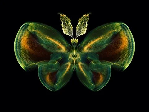Butterfly Abstraction Stock Illustration