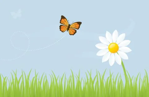 Butterfly and daisy Stock Illustration