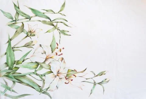 Butterfly and flower pattern hand drawn on silk Stock Photos