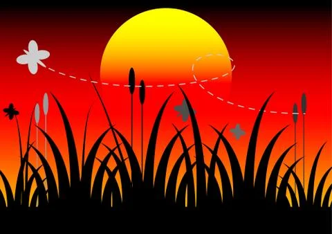 Butterfly and sunset Illustrazione stock