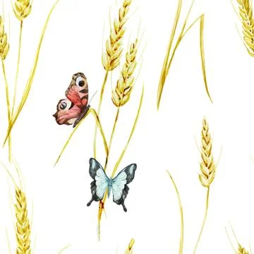 Butterfly and wheat pattern Stock Illustration