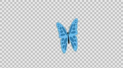 Butterfly Animated Clip Stock Footage 56724919