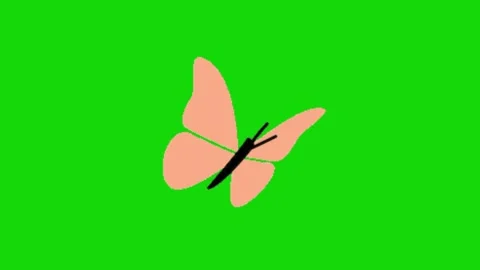 Butterfly animation on green screen Vidéo 328228943