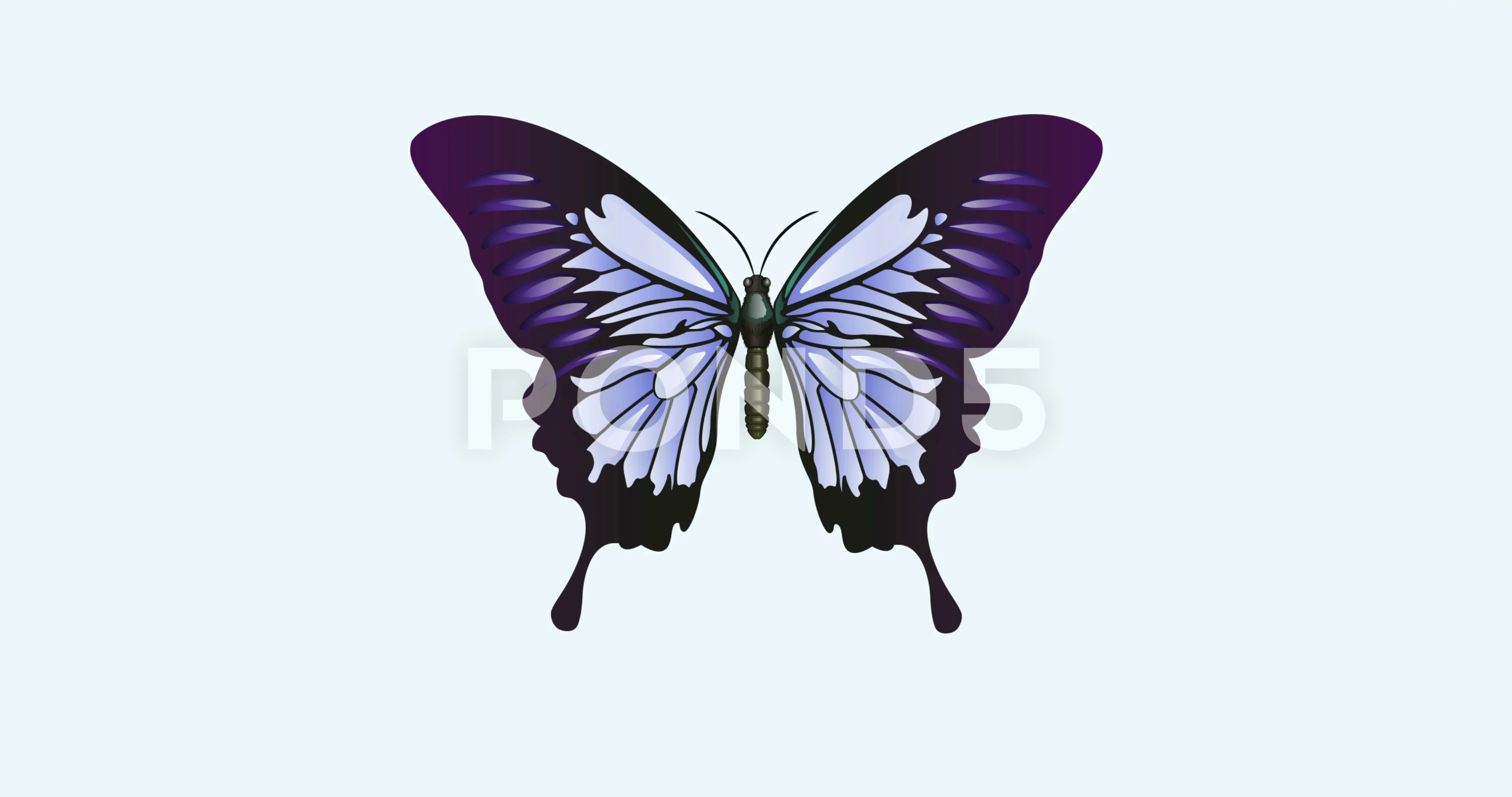 Download Animation Butterfly No Background Stock Video Footage Royalty Free Animation Butterfly No Background Videos Pond5