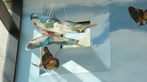 Butterfly art hanging from the ceiling Stock Footage 106591640