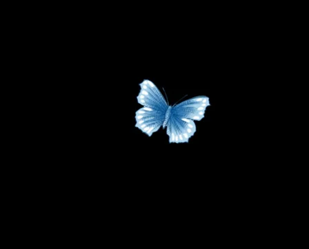 Butterfly ascension Stock Footage 27676860