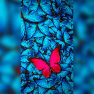 Butterfly background Stock Photos