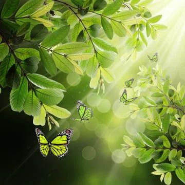 Butterfly on the background of the young spring leaves Illustrazione stock