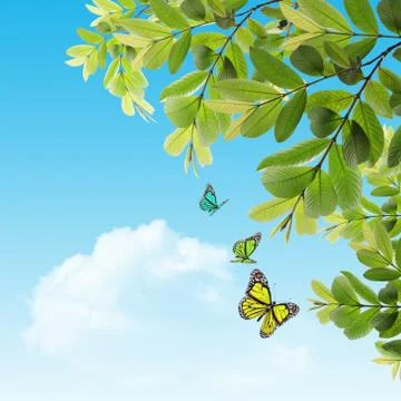 Butterfly on the background of the young spring leaves Illustrazione stock