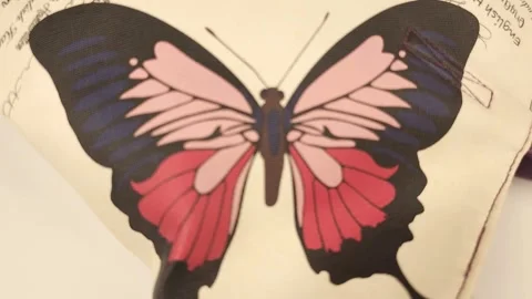 Butterfly on Bag Close-up Video stock 297774155