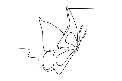 A butterfly with beautiful wing patterns 스톡 일러스트