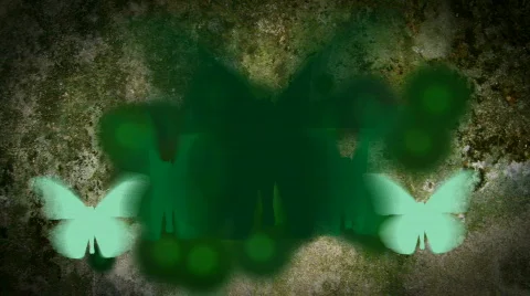 BUTTERFLY BG Stock Footage 448478