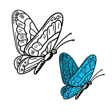 Butterfly black and white vector illustration,  イラスト素材