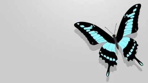 Butterfly with black wings, blue patterns Stock Illustration