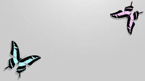Butterfly with black wings, blue patterns Stock Illustration