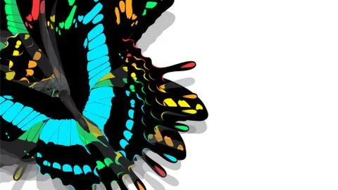 Butterfly with black wings, blue patterns Stock Photos