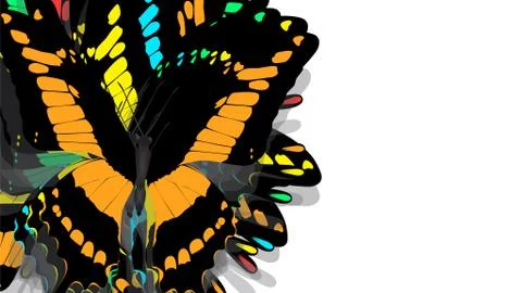 Butterfly with black wings, Orange patterns Stock Photos