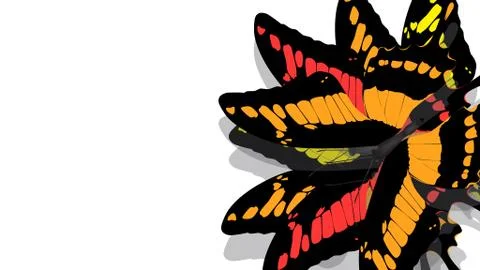 Butterfly with black wings, Orange patterns Stock Photos