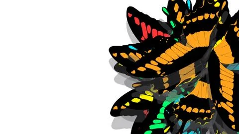 Butterfly with black wings, Orange patterns Stock Photos