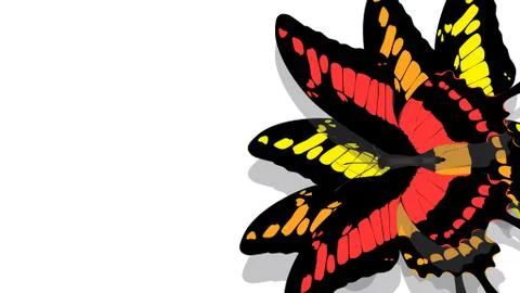 Butterfly with black wings, red patterns Stock Photos