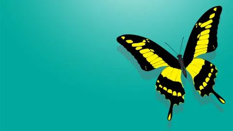 Butterfly with black wings, yellow patterns Stock Illustration