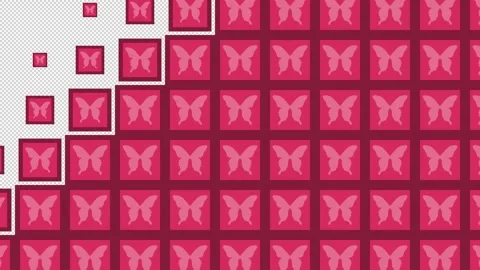 Butterfly Block tile wave Transitions. 1080p - 30 fps - Alpha Channel (7) Stock Footage 274163048