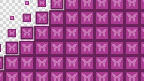 Butterfly Block tile wave Transitions. 1080p - 30 fps - Alpha Channel (4) Stock Footage 274163096