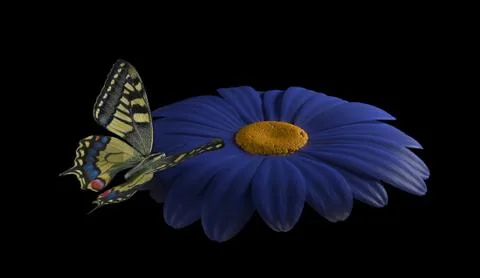 Butterfly on blue flower render Stock Illustration
