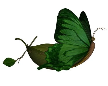 Butterfly boat - 3D render Stock Illustration