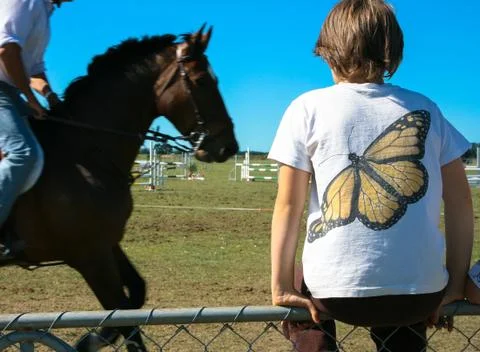 Butterfly boy Fotos Stock
