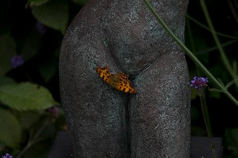 Butterfly on buste Stock Photos