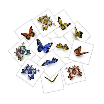 Butterfly collection Stock Illustration