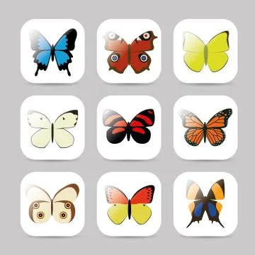 Butterfly collection Stock Illustration