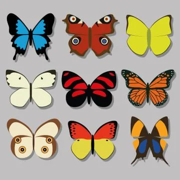 Butterfly collection Illustrazione stock