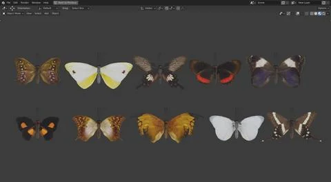 3D Butterfly Animation Models ~ Download a 3D Model | Pond5
